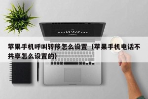 苹果手机呼叫转移怎么设置（苹果手机电话不共享怎么设置的）